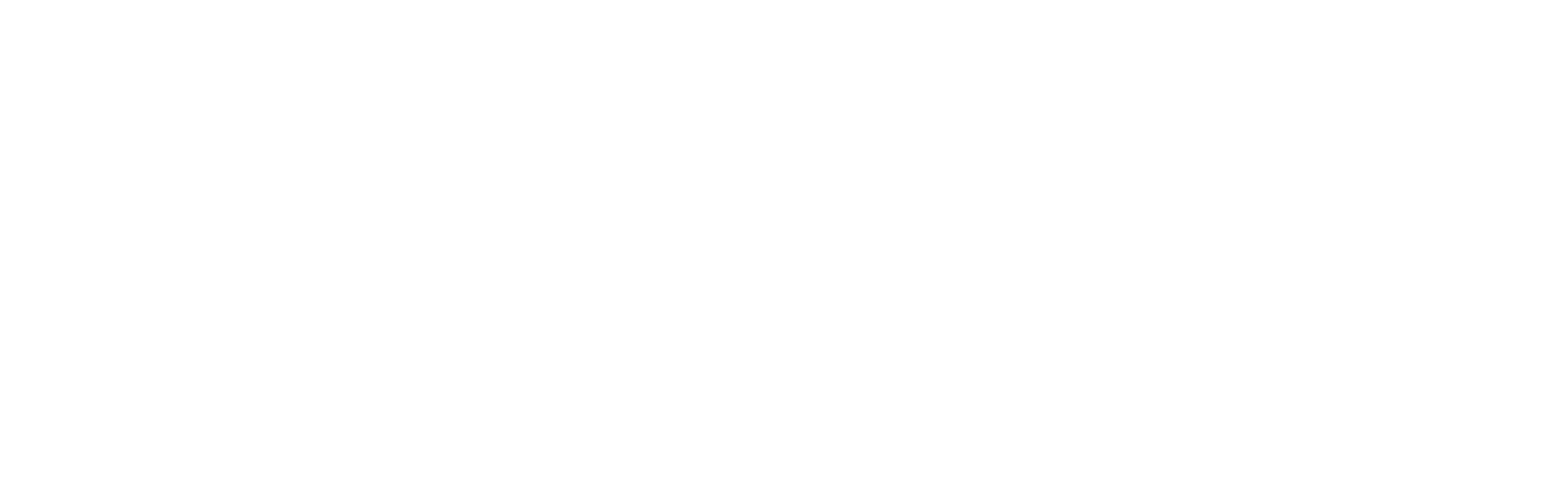 BRIDGE white logo